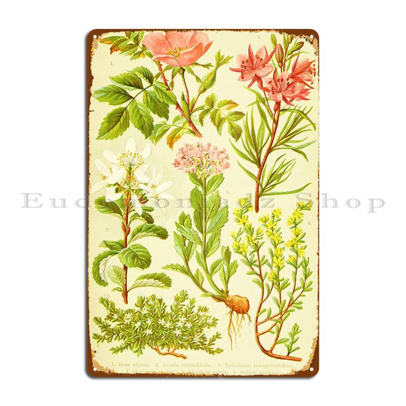 Hd Vintage Flowery Bouquet Des - Home Cinema Wall Design review and price