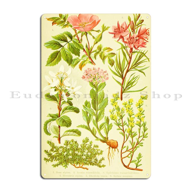 Hd Vintage Flowery Bouquet Des - Home Cinema Wall Design review and price