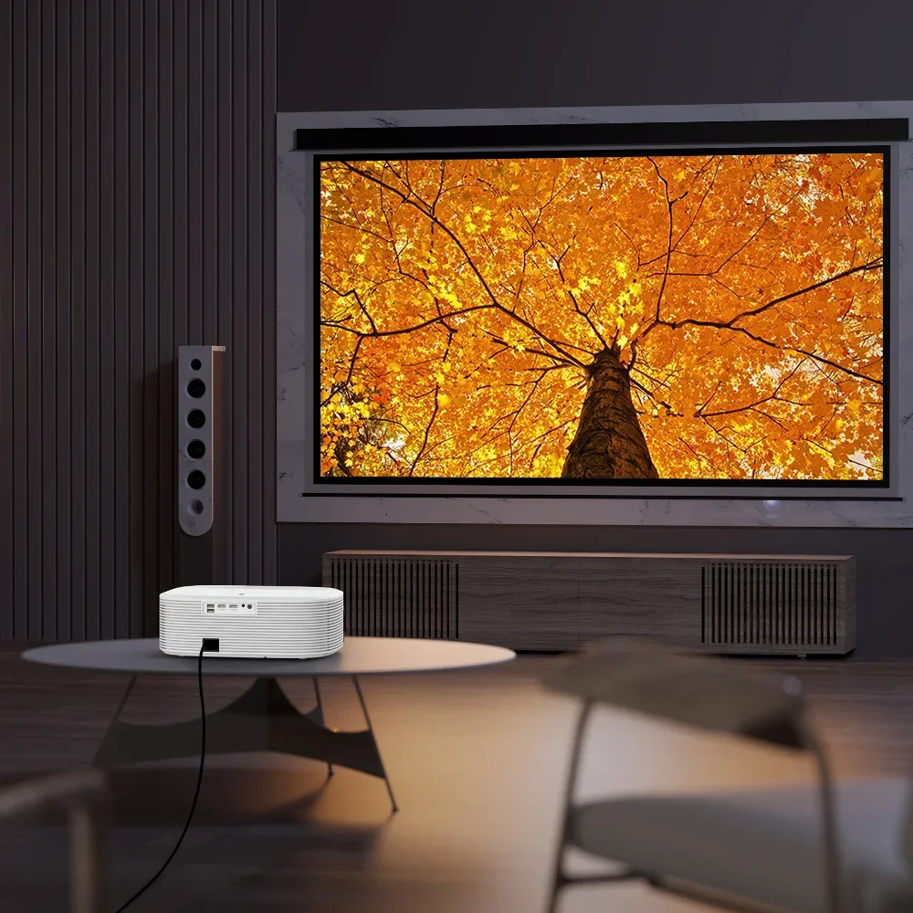 High Quality High Definition M - Home Cinema Projector Screen review and price