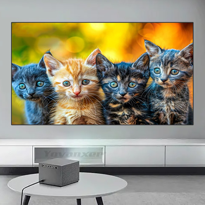 Yovanxer Black Diamond ALR Spl - Home Cinema Projector Screen review and price